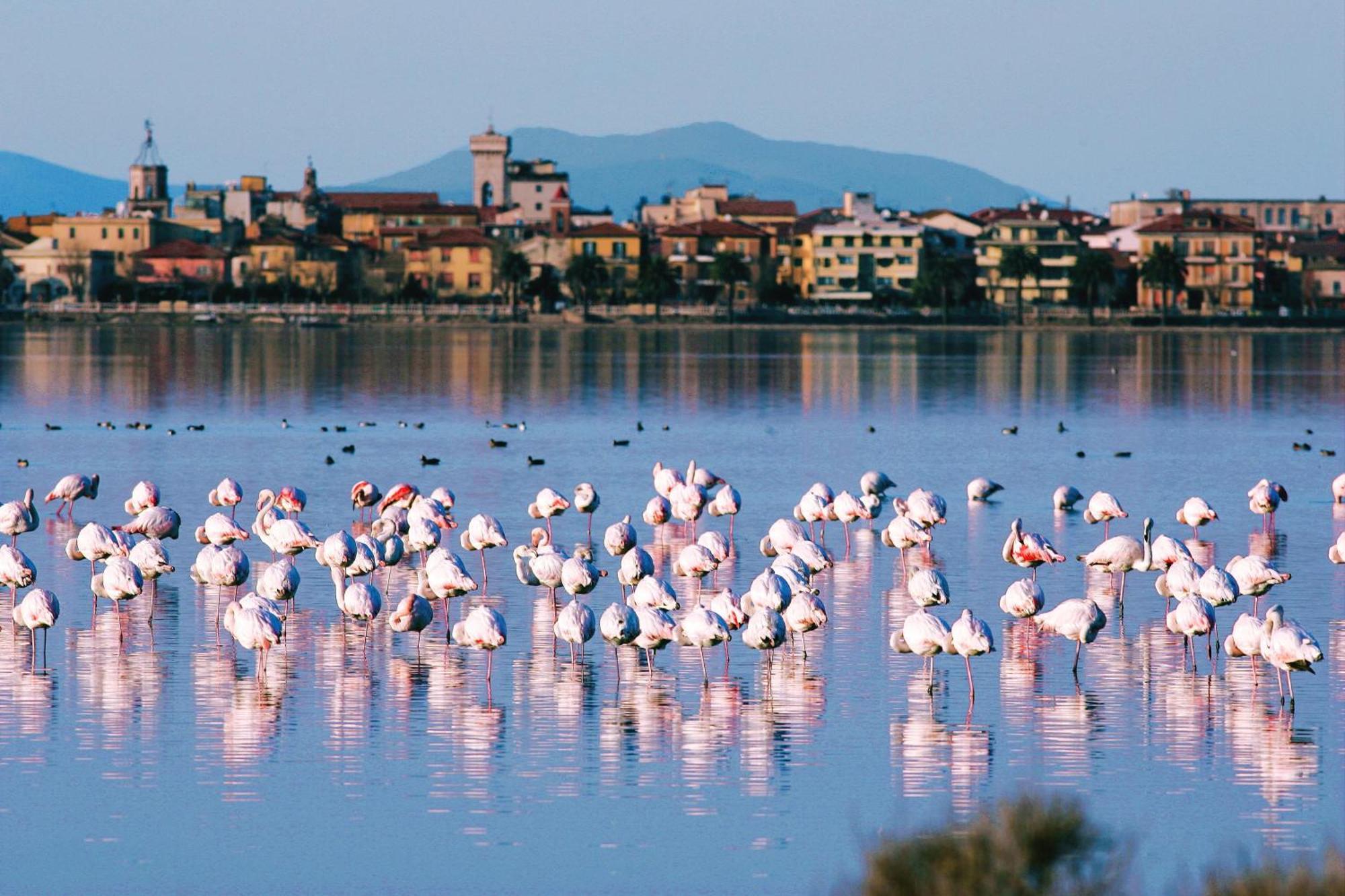 Park Hotel Residence Orbetello Luaran gambar